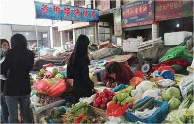 推進食品藥品安全戰略,建設健康美麗臨洮——食用農產品初加工的關鍵路徑