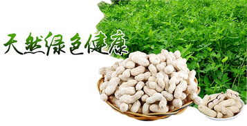 區塊鏈溯源 揭開有機農產品的偽裝術，重塑食用農產品批發新生態