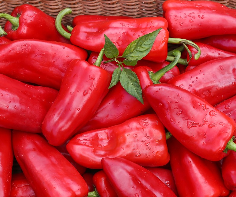 紅火饋贈(zèng) 農(nóng)家現(xiàn)摘大紅尖椒，鮮辣與甘甜的完美交融